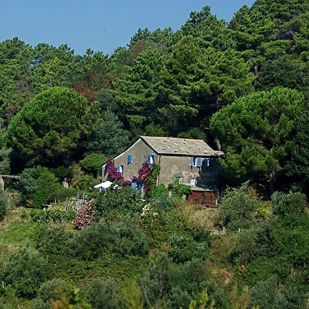 בונאסולה Maison De Charme Giulietta חדר תמונה
