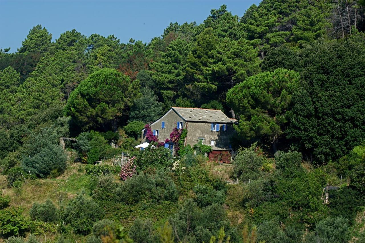 בונאסולה Maison De Charme Giulietta חדר תמונה